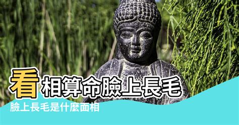 臉頰上長毛|臉頰上長毛怎樣才能去掉不會再長